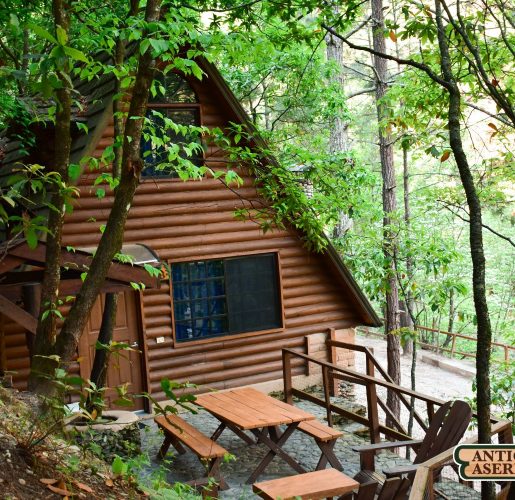 Cabaña C8 – Antiguo Aserradero